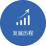 发展历程